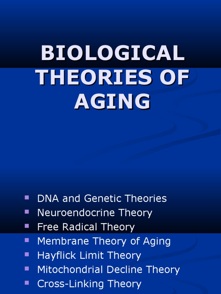 Biological Theories of Aging | PDF | Hypothalamus | Telomere