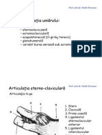 Membrul Superior Articulatii