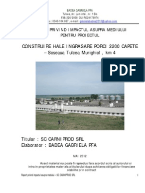 Torment bind deep Raport Mediu - Porci | PDF