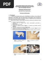 Manual de Necrópsia Com Fotos