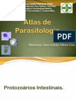 Atlas de Parasitologia.