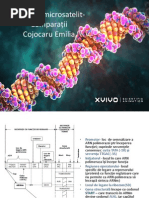 Markerii Microsatelit-Comparații