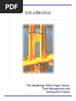 The Ideabridge White Paper Series: Time Management and Sealing The Cracks!