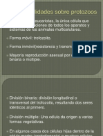 Protozoarios Parasitos Del Aparato Digestivo