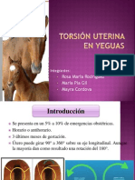 Torsión Uterina en Yeguas FINAL