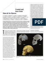 Neandertal Roots, Cranial and Chronological Evidence From Sima de Los Huesos