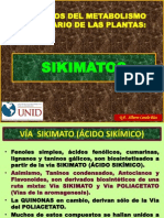 HETEROSIDOS ppt