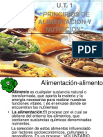 alimentacion nutricion