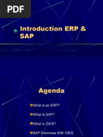 Introduction To Erp & Sap