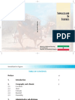 Somaliland in Figures