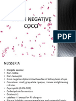 Gram Negative Cocci-Sem 1.