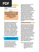 Download MODUL 8 Ayam Jantan Petelur by Relly Cristian SN231941381 doc pdf