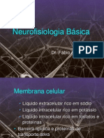 3 Neurofisiologia Basica