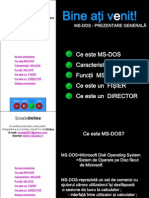 Prezentare MS DOS