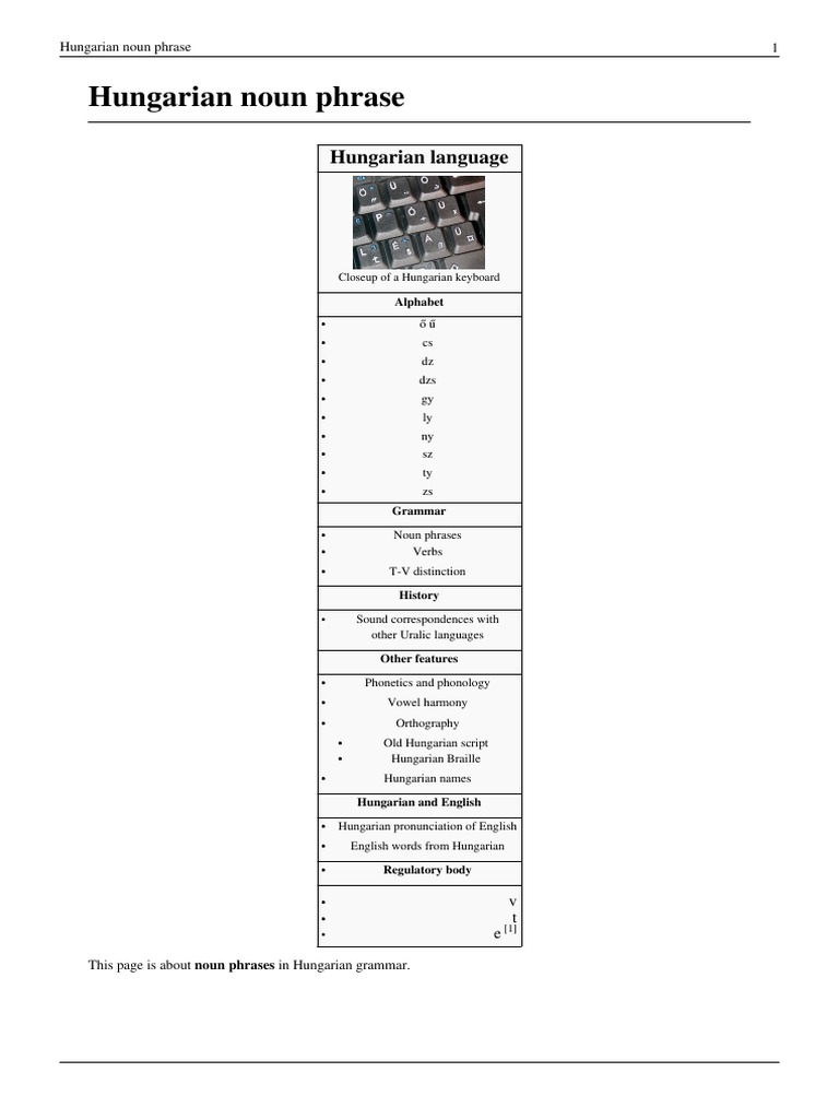 Hungarian Noun Phrase Grammatical Number Vocabulary