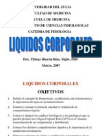 Liquidos Corporales