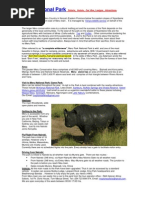 Download Meru Hotels Accommodation Meru Lodges   Meru National Park  Attractions by Gorilla Safaris Rwanda SN23196584 doc pdf
