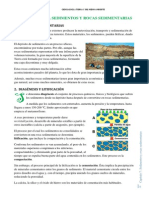 Tema7.Sedimentos y Rocas Sedimentarias