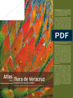 Atlas de La Flora de Veracruz