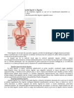 Aparatul Digestiv Si Digestia