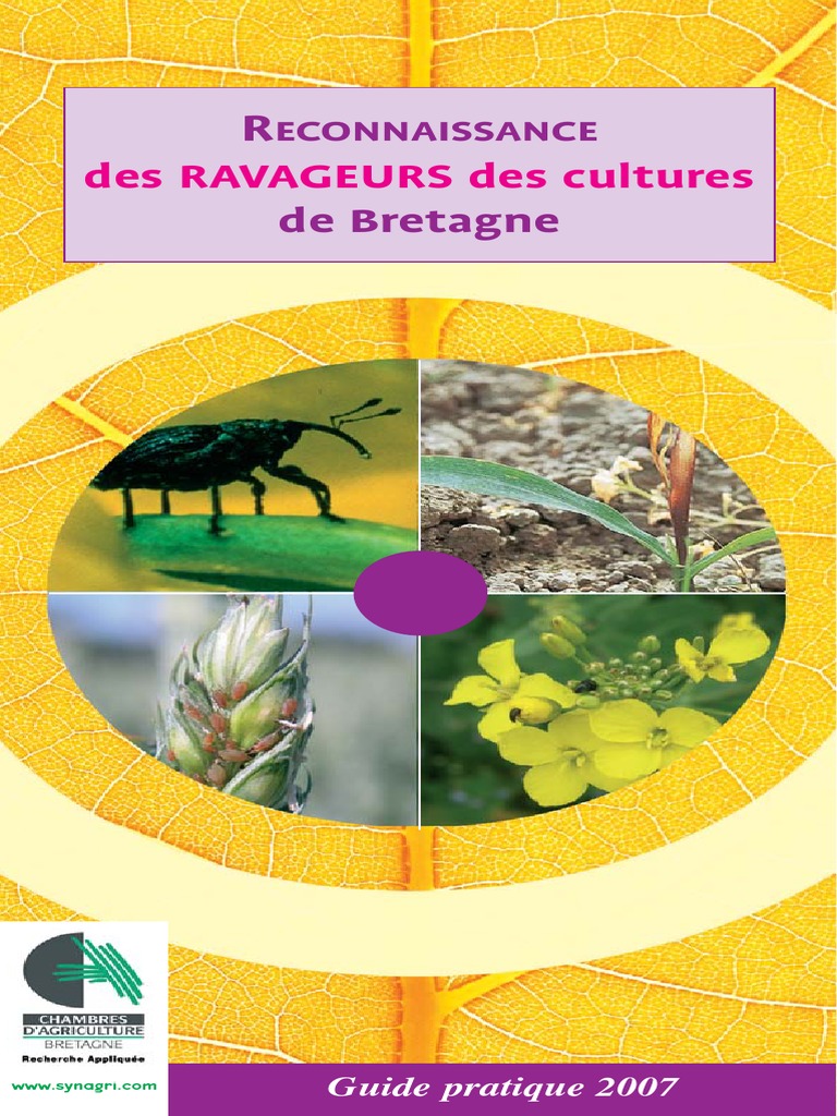 Guide de reconnaissance des ravageurs | PDF | Maïs | Horticulture et ...