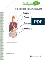 Ciencias 2 Partes Del Cuerpo