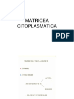 matricea citoplasmatica