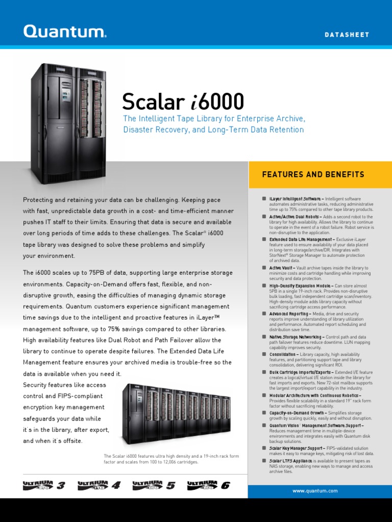 Scalar I6000 Datasheet (DS00417A) | PDF | Computer Data | Computer ...