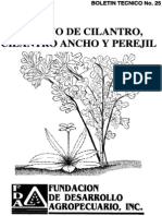 Manual Del Cultivo de Culantro