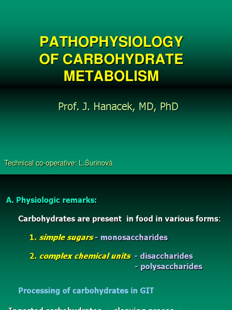 pathophysiology of Carbohydrates Metabolism Insulin Diabetes Mellitus
