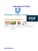 Corporate Finance - HUL Project Report V1