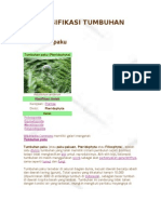 Download Klasifikasi Tumbuhan by deny arya wiranata SN23203151 doc pdf