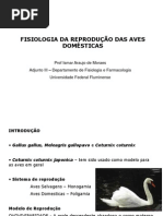 Reprod Aves