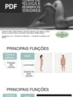 Anatomia de Cintura Pélvica e Membros Inferiores