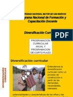 Programación y Diversificacion2010