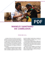 PDF Proyectos de Apoyo Al Desarrollo Regional Manejo Sanitario de Camelidos Ayacucho y Huancavelica