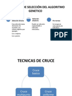 Estrategia de Selección Del Algoritmo Genetico