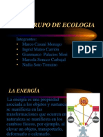 Expo Ecologia Final