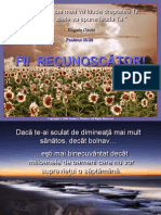 Fii Recunoscator