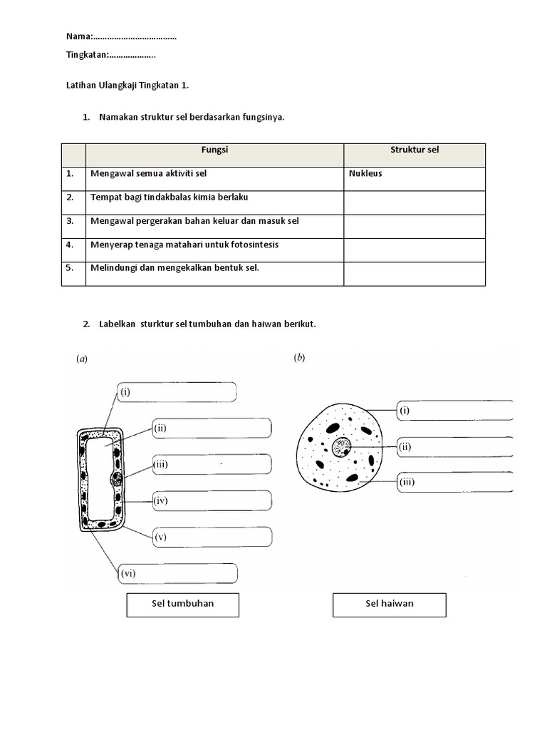 Latihan Sains Tingkatan 1 PDF