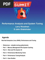 Woodman, Shakshober Performance Analys