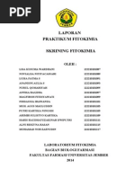 Download LAPORAN SKRINING FITOKIMIA by NoviAlda NitiyaCassari SN232075088 doc pdf