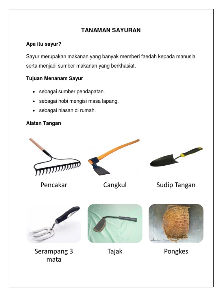Tanaman Sayuran Pdf