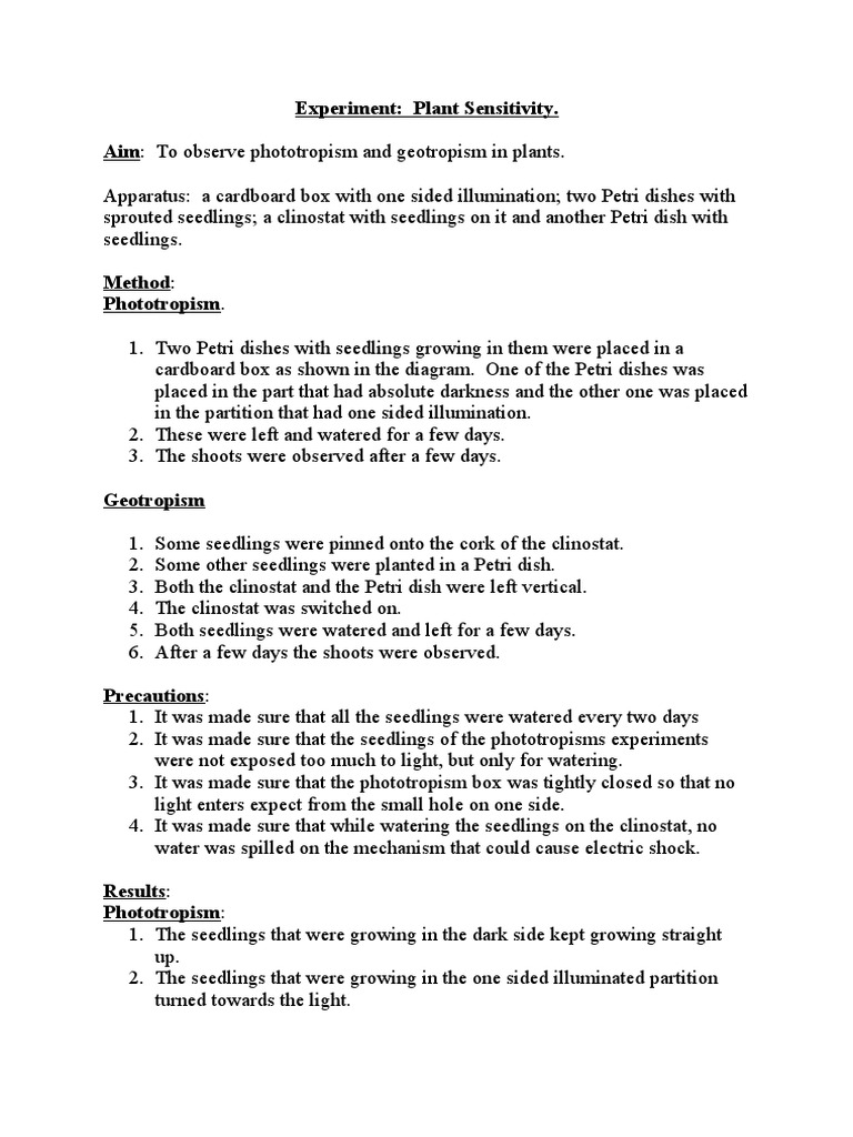 Experiment Phototropism And Geotropism 2 Plants Biology