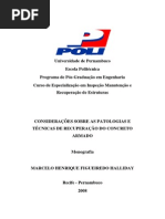 Considerações Sobre as Patologias e Técnicas de Recuperação Do Concreto Armado