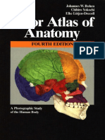 Color Atlas of Anatomy Rohen