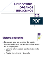 12 Sistema Endocrino