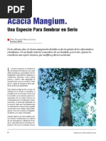 Download Acacia Mangium by Jorge Luis Rivas Naar SN232123923 doc pdf
