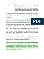 En La Inseminación Artificial Porcina El Objetivo Es Lograr Con Un Menor Coste Operativo y Mayor Ahorre de Tiempo y Organización Laboral