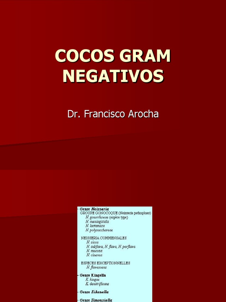 cocos-gram-negativos-pdf-bacterias-gram-negativo-microbiolog-a